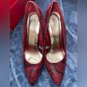burgundy snake skin